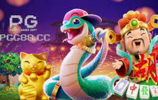 开云足球2024最新版