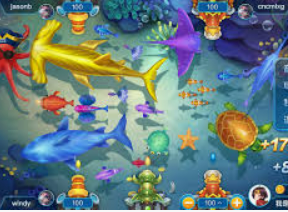 开云足球最新版