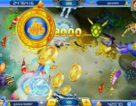 开云足球2024最新版